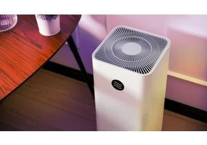 Can an Air Purifier Protect You From Wildfire Smoke? Here's What You Need to Know