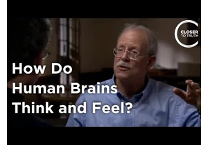 Eran Zaidel - How Do Human Brains Think and Feel?