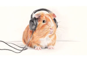 Compressed music might be harmful to the ears