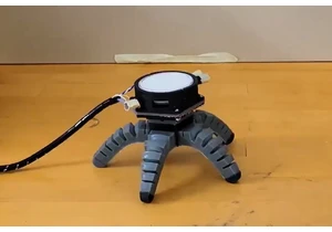 Mushroom learns to crawl after being given robot body (2024)