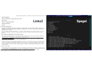Show HN: Spegel, a Terminal Browser That Uses LLMs to Rewrite Webpages