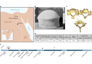 Whole-genome ancestry of an Old Kingdom Egyptian