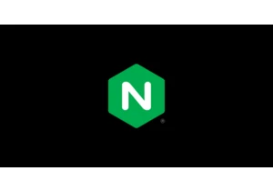 Nginx Introduces Native Support for Acme Protocol