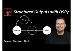 Structured Outputs with DSPy