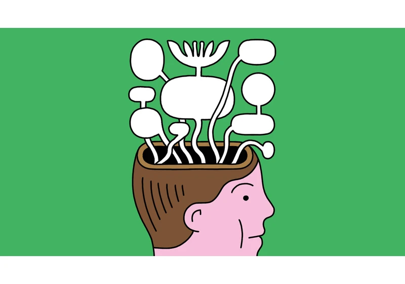 Is being bilingual good for your brain?