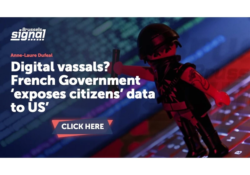 Digital vassals? French Government 'exposes citizens' data to US'