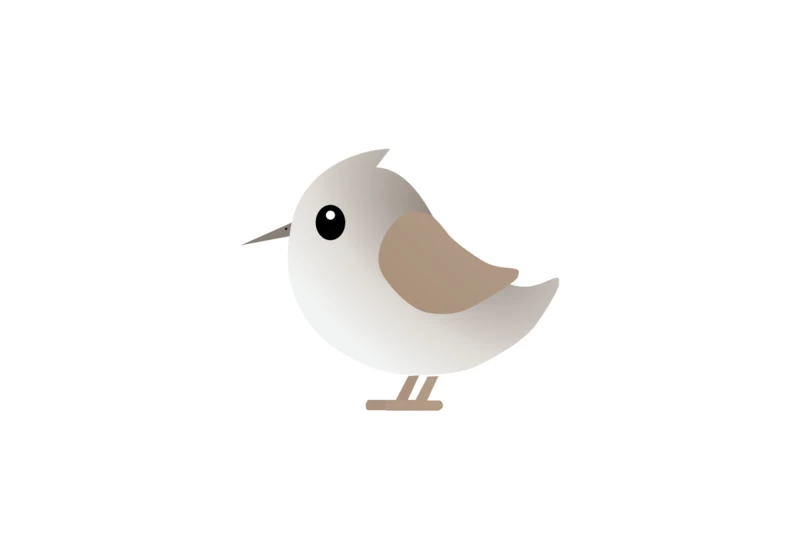 Shorebird 1.0 – Update your Flutter apps instantly