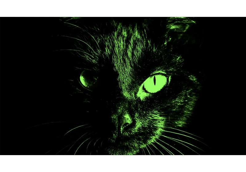 Who is Blackcat, the hacker group that has disrupted UnitedHealth and pharmacies everywhere?