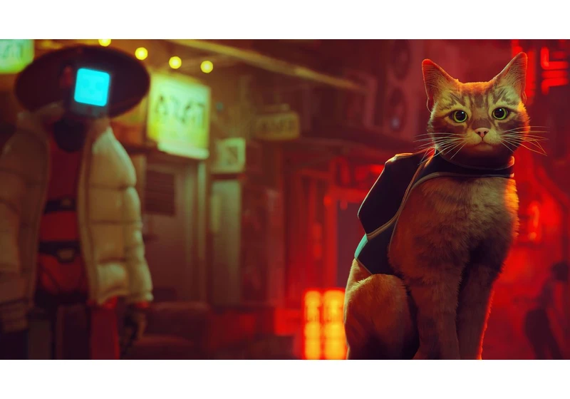 Stray finally gets a release date for Xbox