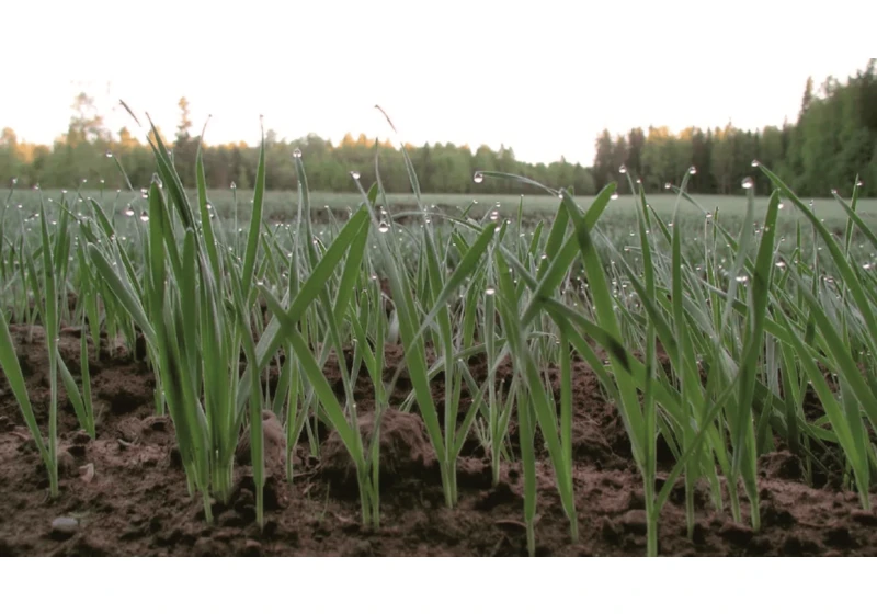 Finnish startup Tracegrow bags fresh capital to turn batteries into fertilizers