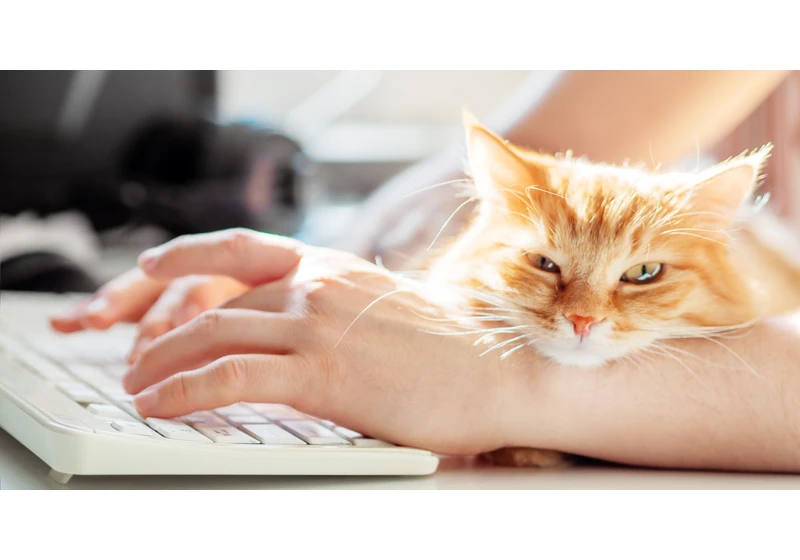 National Pet Day: How Our Fur-Babies Are Changing The Way We Work via @sejournal, @Juxtacognition