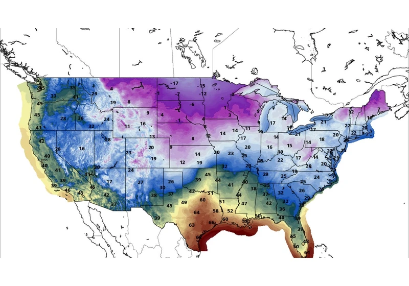 Polar Vortex Wintry Blast Will Chill Much of US. Here's What You Should Know