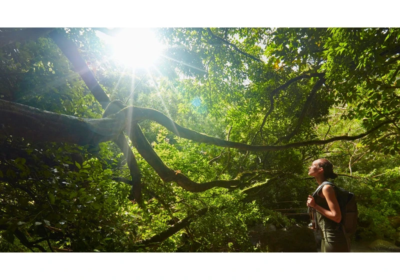 Zero Waste Travel: The Ultimate Plastic-Free Packing List