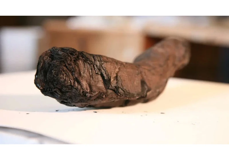 Nvidia GPU Used To Decipher Ancient Greco-Roman Scroll
