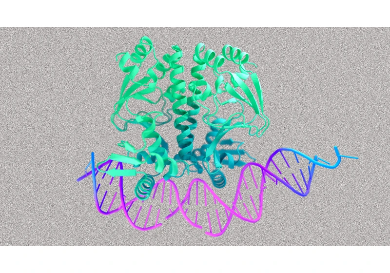 DeepMind’s new AlphaFold 3 expands to DNA, RNA modeling