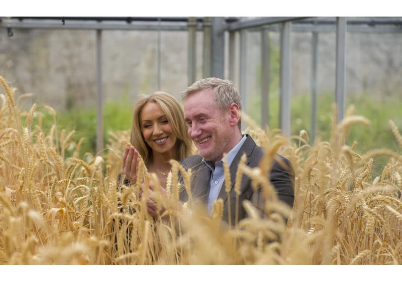 Irish startup CropBiome raises €1.3 million to make our food supply more sustainable and secure