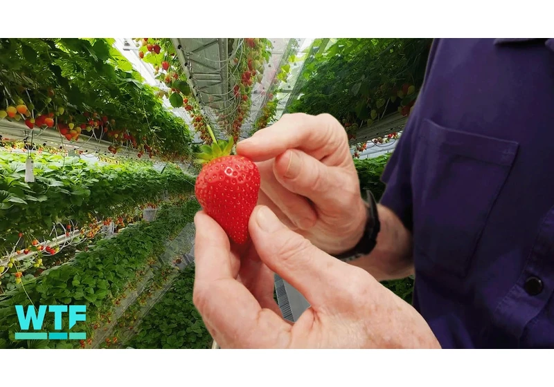 Dyson Reveals Futuristic Farming Vision video