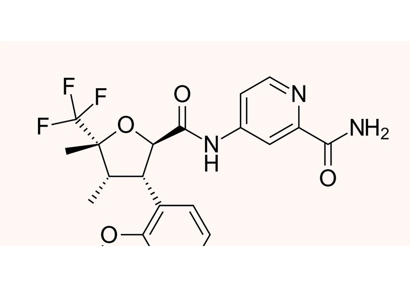 The first non-opoid painkiller