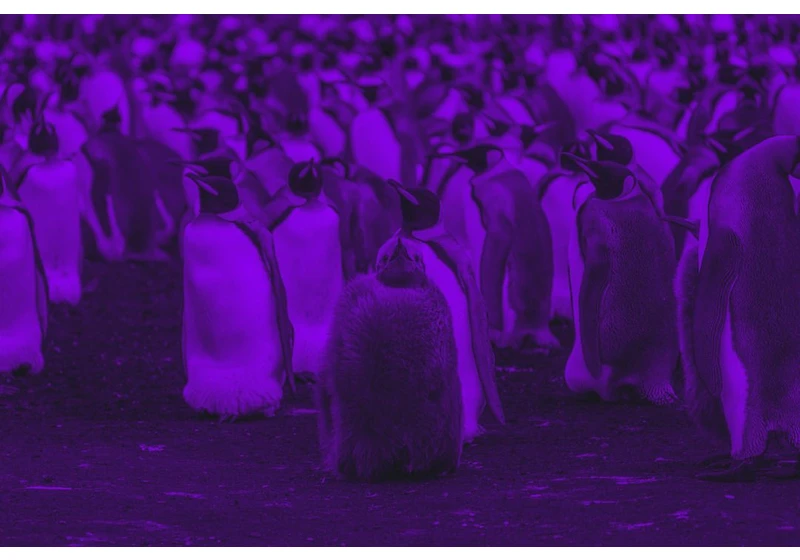 Our Journey Through Linux/Unix Landscapes