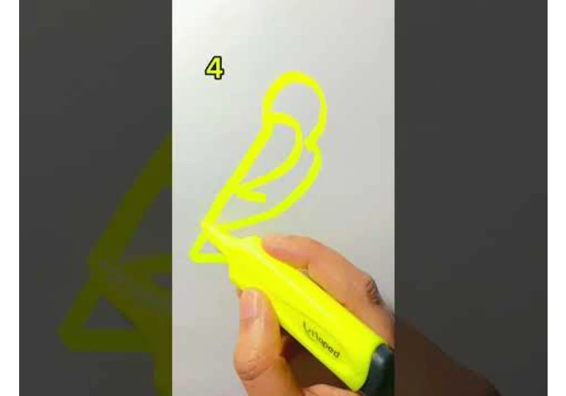 How to draw a small bird?