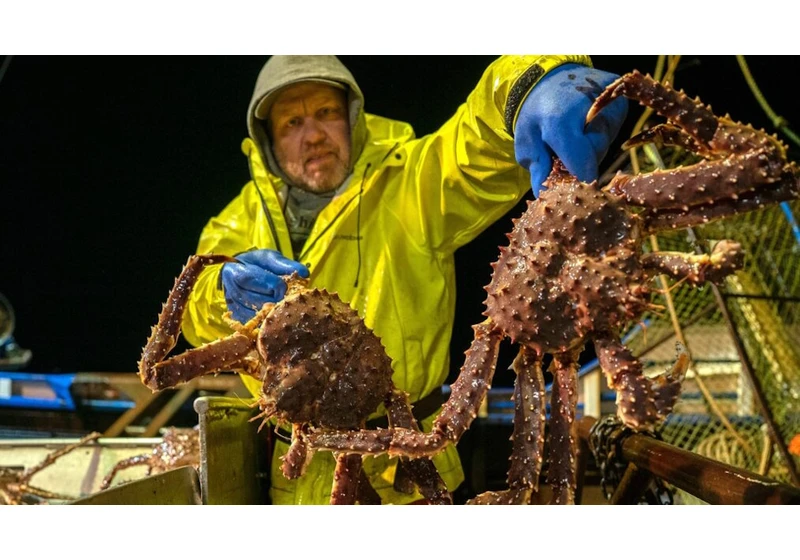 How to watch Deadliest Catch season 21 online from anywhere – stream much-loved fishing doc
