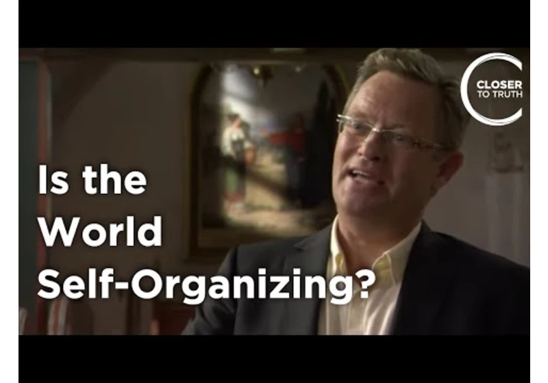 Niels Gregersen - Is the World Self-Organizing?