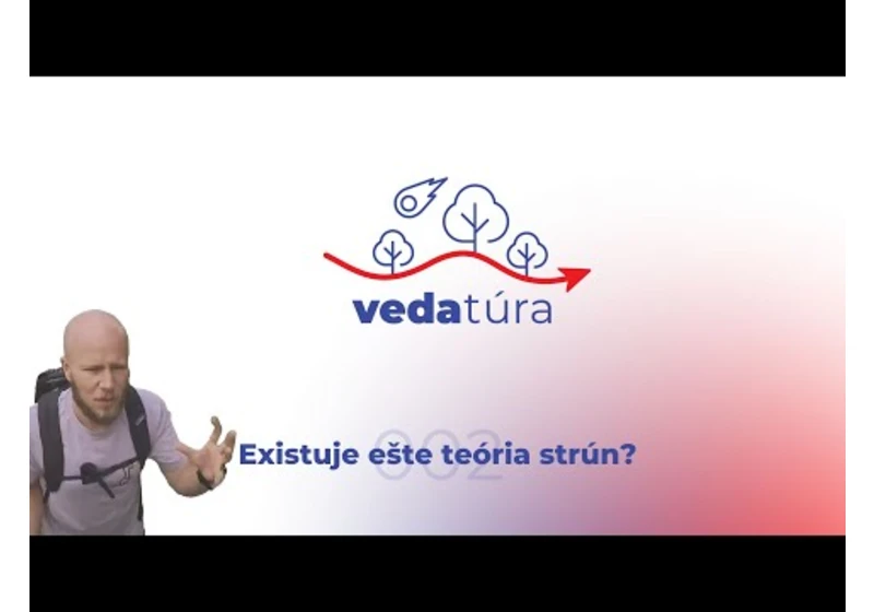 Vedatúra: Existuje ešte teória strún?