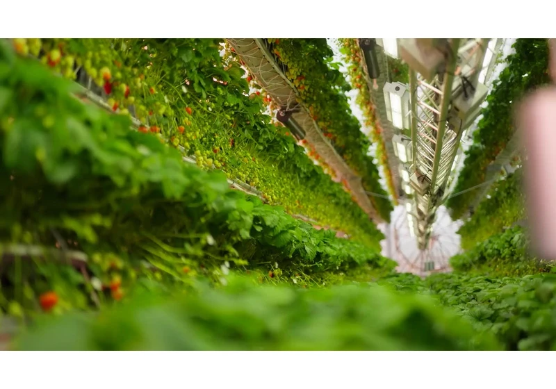Dyson Reveals Futuristic Farming Vision
