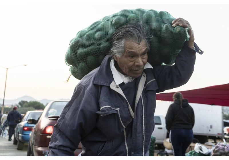US Importers Sued for 'Greenwashing' Mexican Avocados