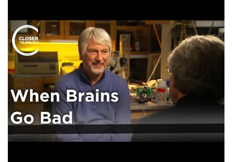 Christopher Evans - When Brains Go Bad
