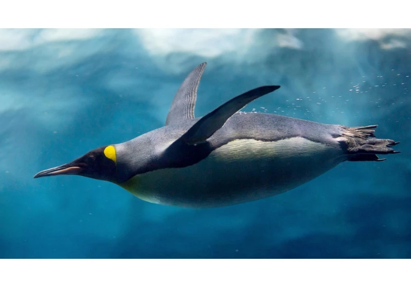 Linux 6.16 brings faster file systems, improved confidential memory, & more Rust