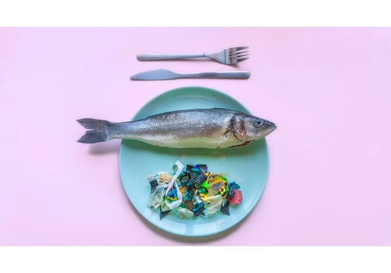 Top 10 Foods Contaminated With Microplastics. Here's How to Avoid Them