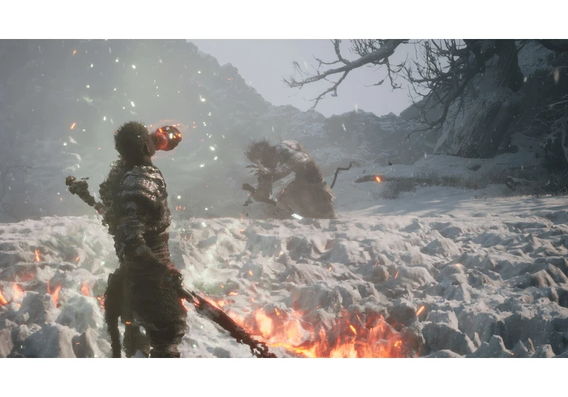 Chinese brain computer interface user reportedly plays 'Black Myth: Wukong,' other games