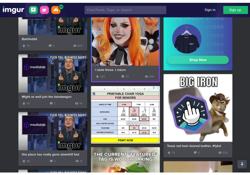 Imgur's Community Is in Full Revolt Against Its Owner