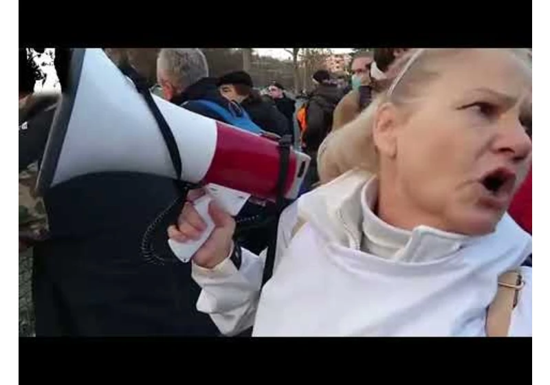 Protivládny protest (17.11.2020)