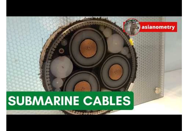 The Hazardous Life of an Undersea Cable