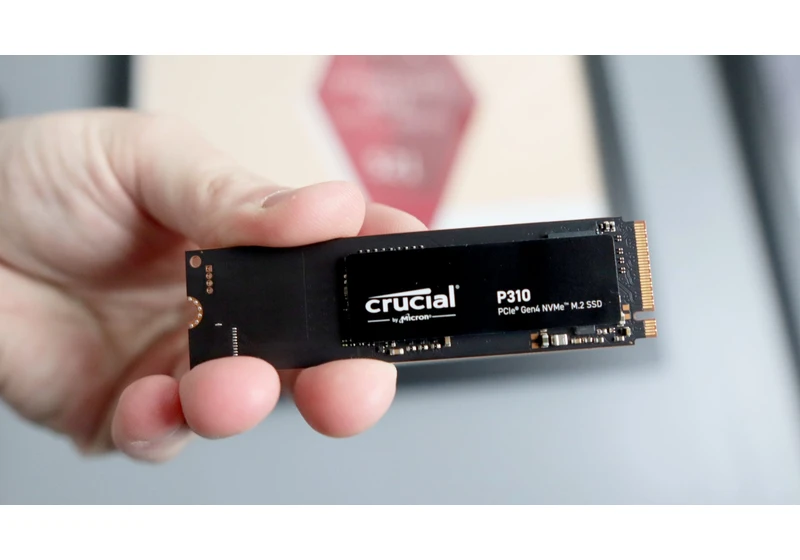 Crucial P310