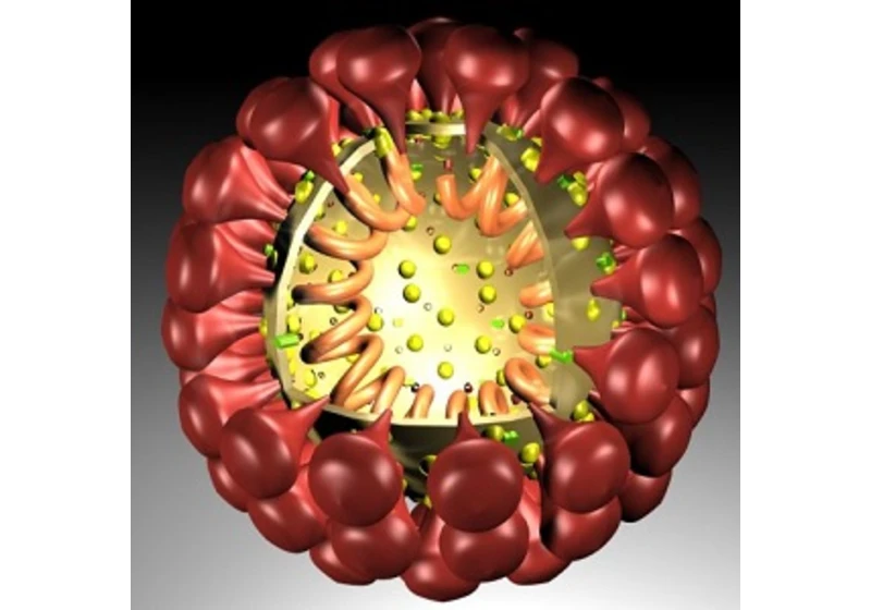 Spike protein aktivuje endogenní retroviry