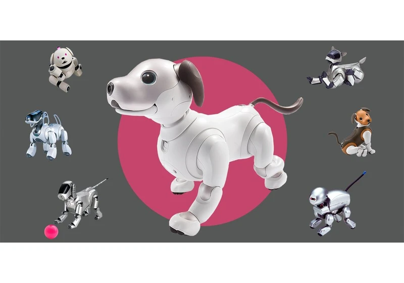Zen and the Art of Aibo Engineering
