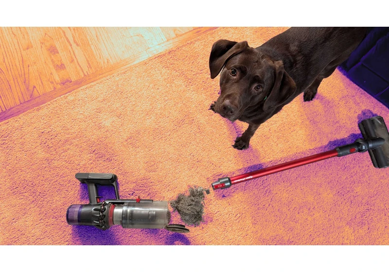My Favorite Dyson Vacuum Cleans My House and My Car