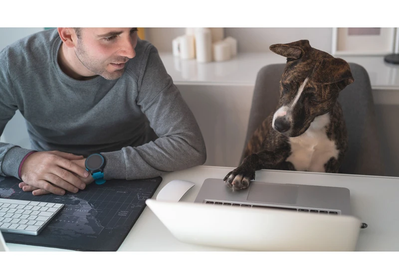 Baidu developing AI-driven animal to human translator – Dr Doolittle plans revealed in patent application