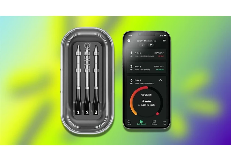The Smart Meat Thermometer That's So Good I Drove It Cross Country Is Now 48% Off