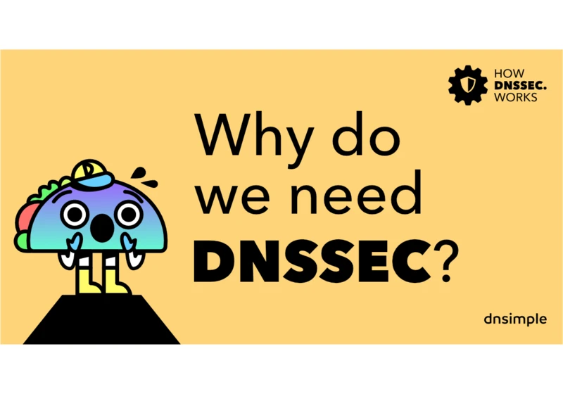 Why do we need DNSSEC?