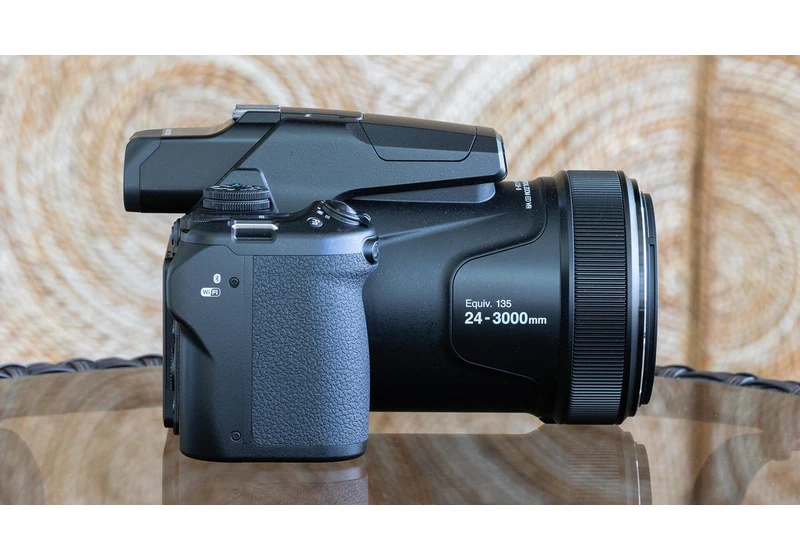 Nikon Coolpix P1100 Superzoom Camera Review: See Bird Butts From 1,000 Feet