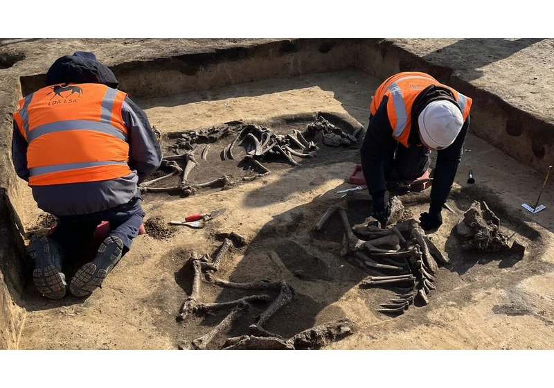  Intel's Germany chip fab site yields discovery of 6,000-year-old burial mounds — no word yet about potential construction delays 