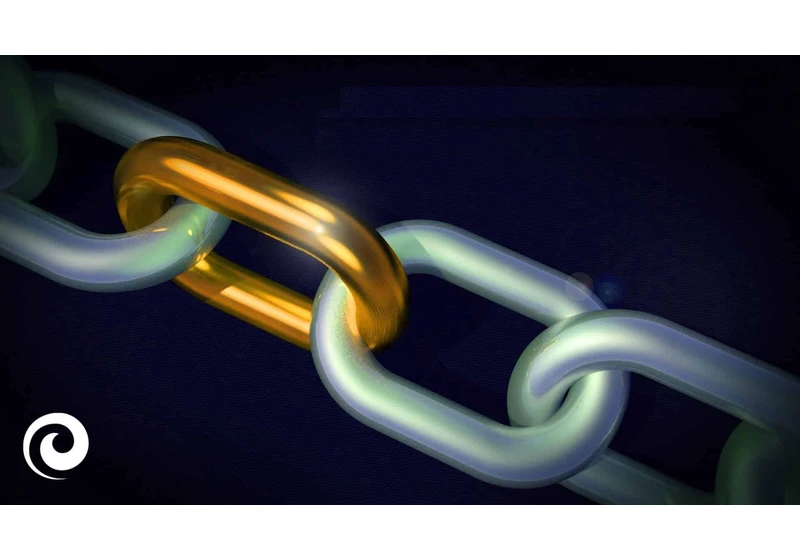 Top link-building insights heading into 2024 by Internet Marketing Ninjas
