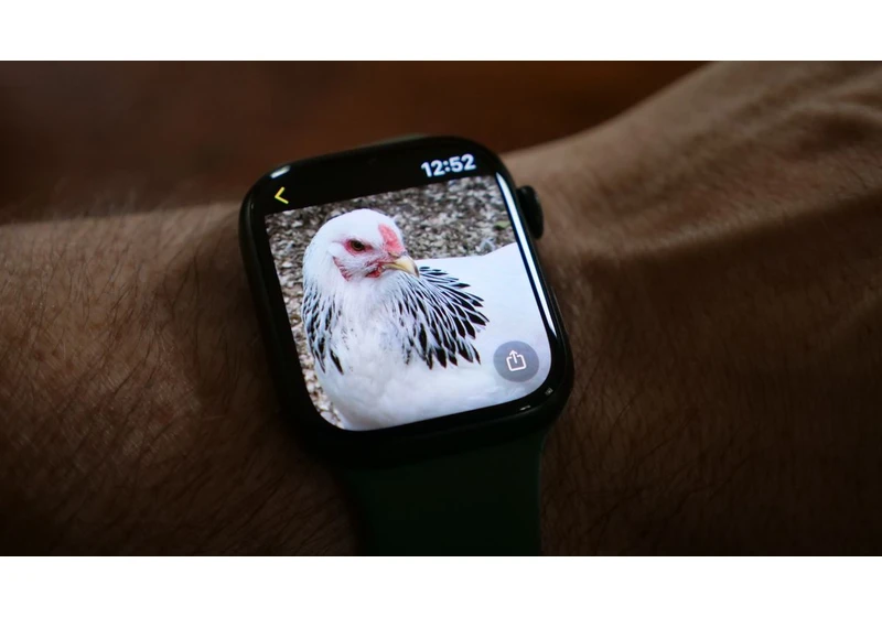 How to change the background picture on your Apple Watch