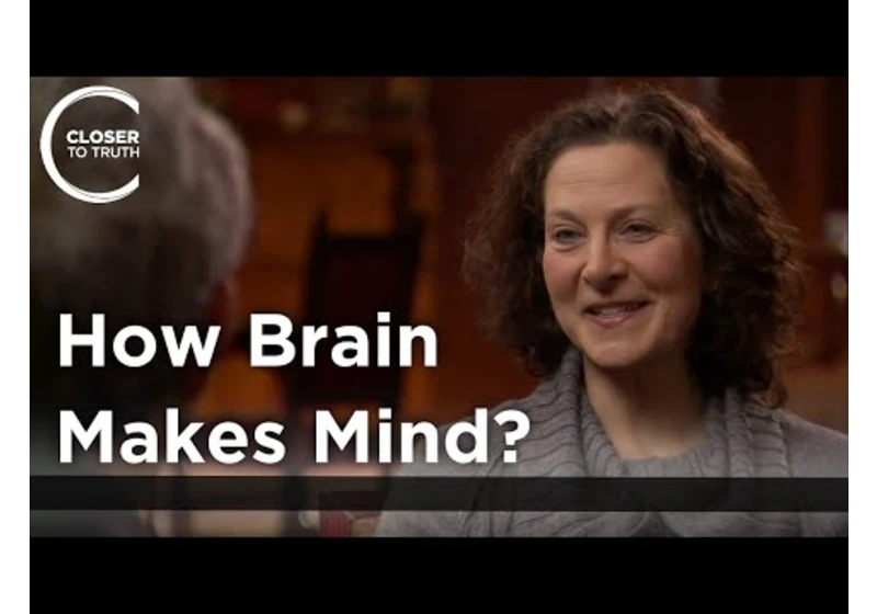 Adina Roskies - How Does Brain Make Mind?