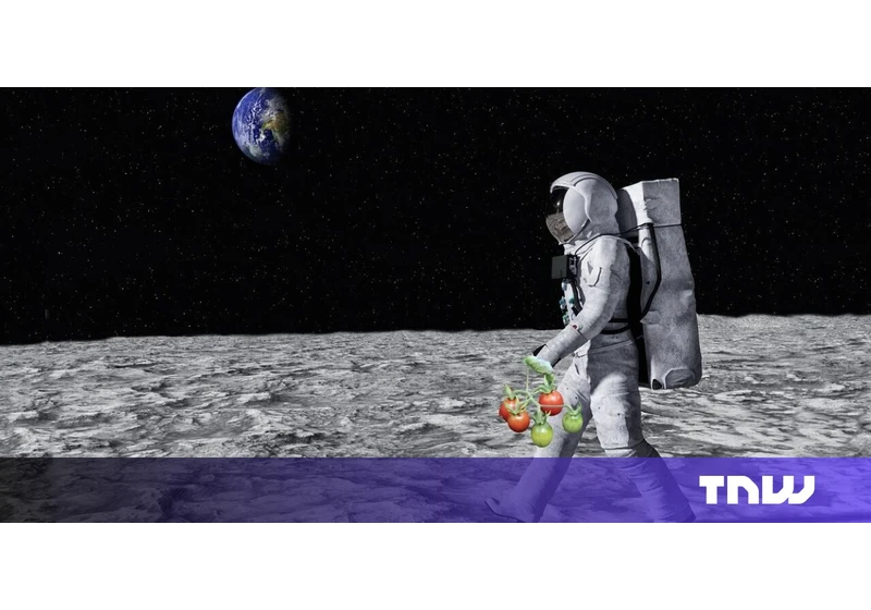 European Space Agency unveils new plan for growing plants on the Moon