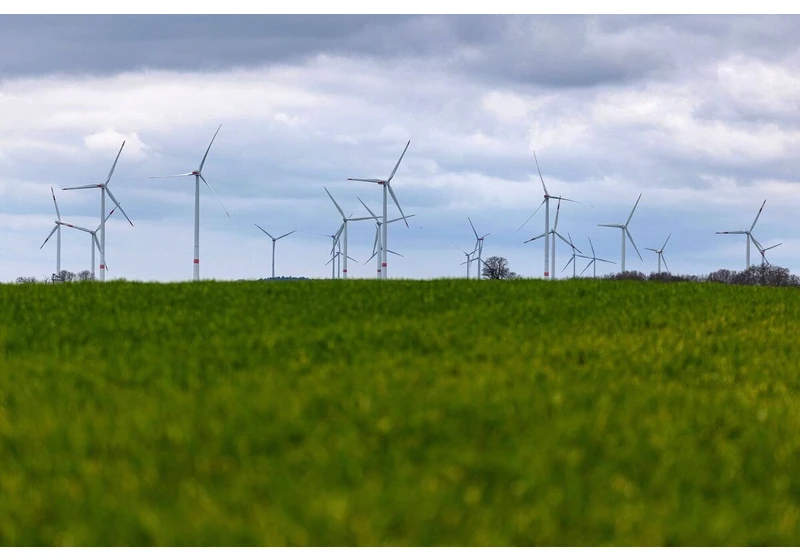 Canada Pension Explores Buying Out ReNew Energy Shareholders (RNW)